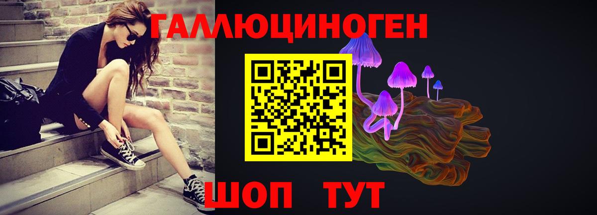 Краснознаменск  Псилоцибиновые грибы мицелий  Галлюциногенные грибы GOLDEN TEACHER  Вход с VPN 
